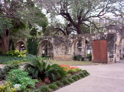 Alamo Courtyard